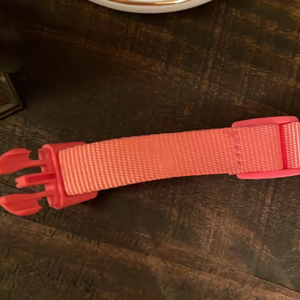Small dog fish collar, The Dodo collar and hedgehog holiday toy.